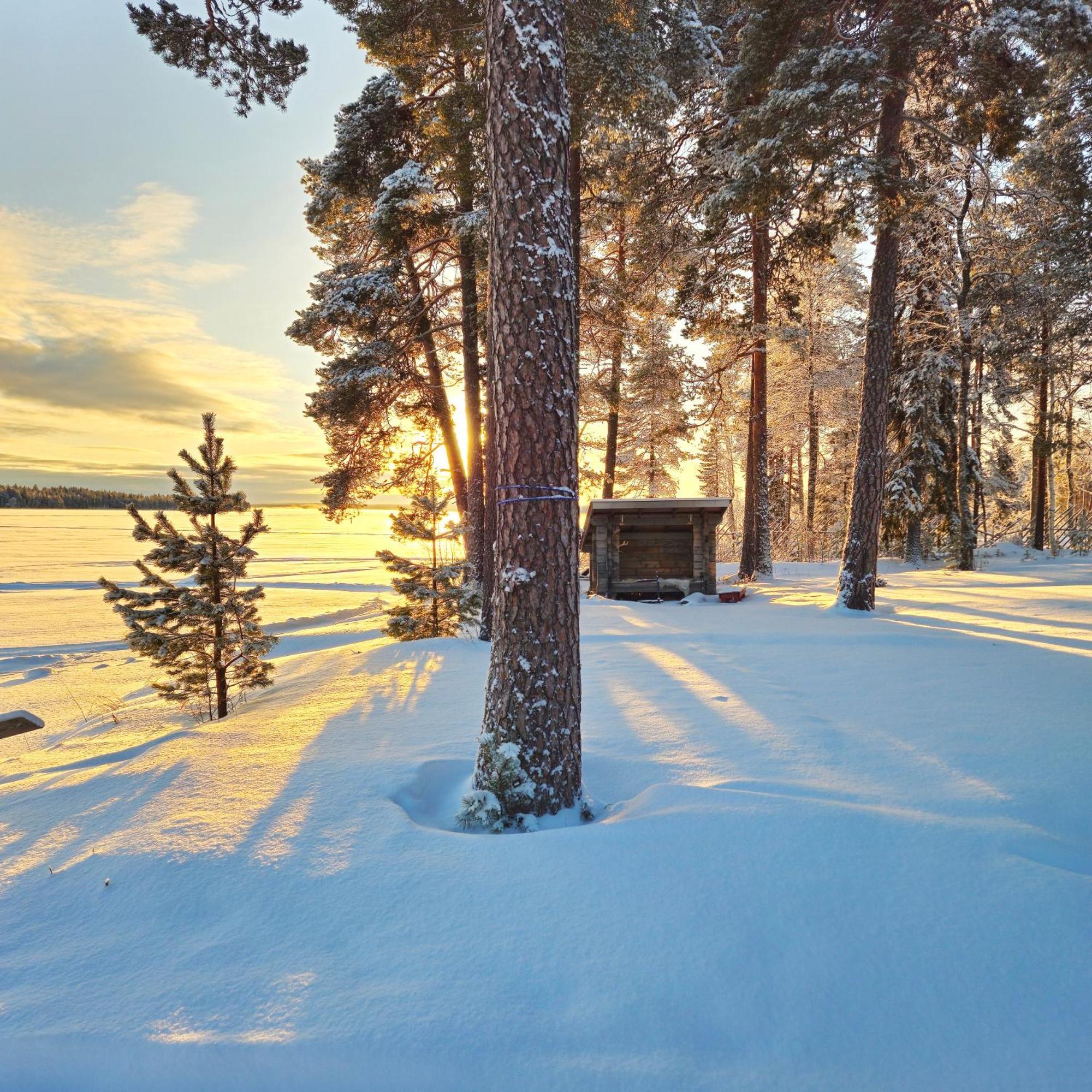 Chalet Norva Rovaniemi Eksteriør bilde